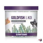 goldfish&koi_500_wb