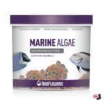 marine_algae_500_wb