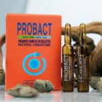 probact-1-1600×1206