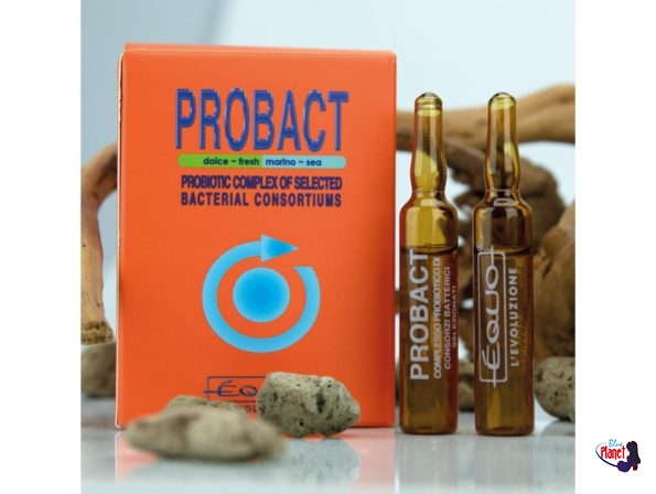 probact-3-1600×1206