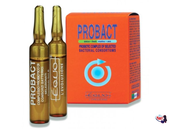 probact6-scat-dx-gb-1600×1206